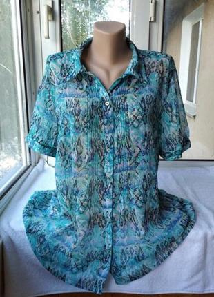 Брендовая шифоновая блуза блузка рубашка большого размера батал