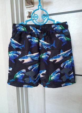 Пляжные шорты для купания как плавки из плащевки с акулой next...