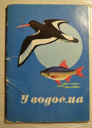 У Водоема .  Набор открыток 16 шт.