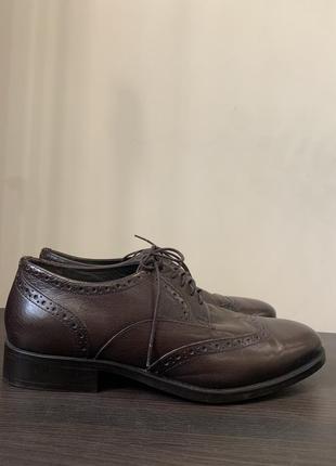 Туфлі черевики броги лофери шкіряні коричневі zara 28см
