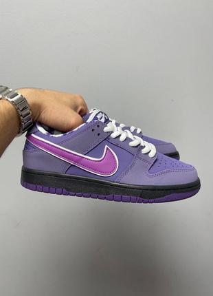 Nike SB Dunk Low Concepts Purple Lobster 🦞