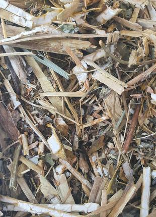 1 кг Маклея трава сушенная (Свежий урожай)