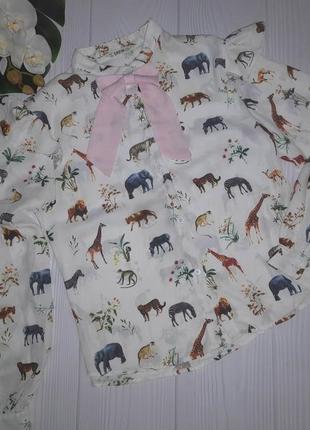 Прикольна блуза зоо на 13-14 років