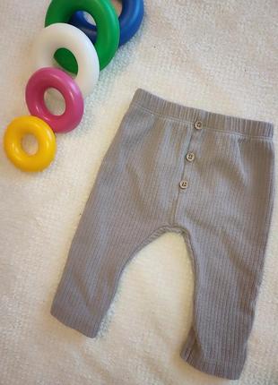 Детские штанишки для малыша. ползунки