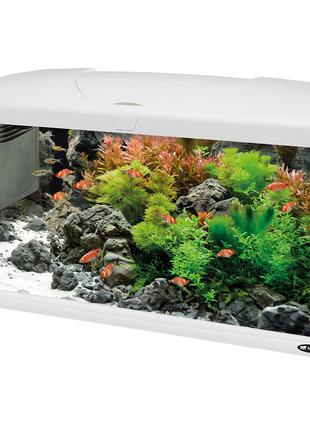 Стеклянный аквариум со светодиодной лампой на 100 литров Ferpl...