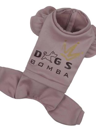 Осінній костюм для собак Dogs Bomba D-167 рюша пудра