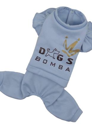 Осінній костюм для собак Dogs Bomba D-164 рюша блакитний