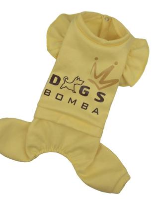 Осінній костюм для собак Dogs Bomba D-165 рюша жовтий