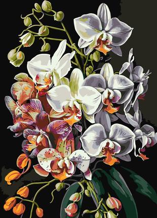 Картина за номерами 40×50 см Kontur. Екзотичні орхідеї DS0498