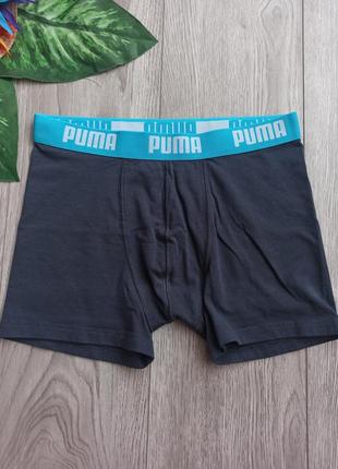 Подростковые трусы puma