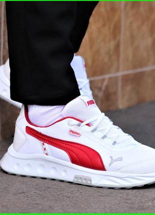 puma 40 43 44