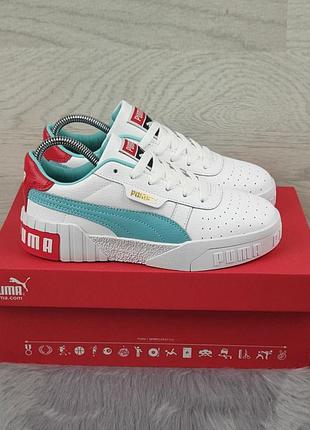 puma cali