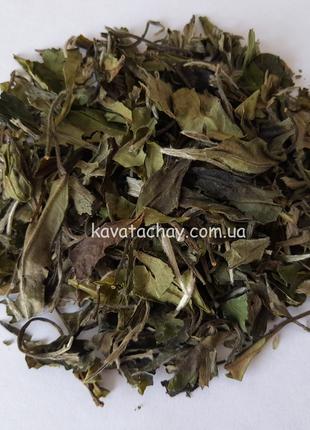 Чай белый Белый Пион (Пай Му Тан) 1кг - Паймутан
