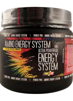 Аминокислота Power Pro Amino Energy System, 500 грамм - фрукто...