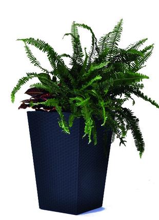 Горщик для рослин Keter Medium Rattan Planter сірий 7290103659288