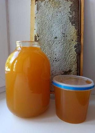Продам мед з домашньої пасіки .урожай 2023