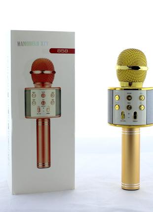 Микрофон DM Karaoke WS 858 (50)в уп. 50шт.