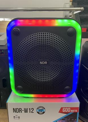 Колонка Bluetooth NDR-W12 600W “12” микрофон проводной RGB под...