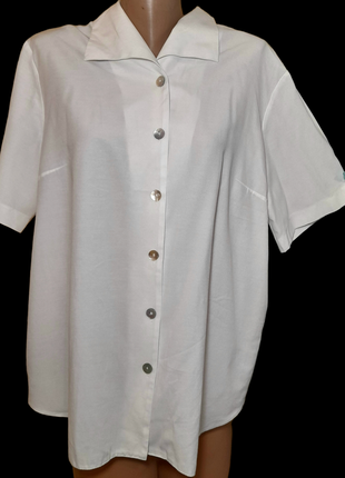 Женская базовая рубашка блуза большого размера 46 европейский