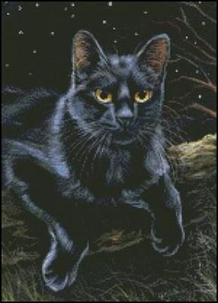 Набор для вышивки крестиком. Размер: 24*33 см Ночь и черная кошка