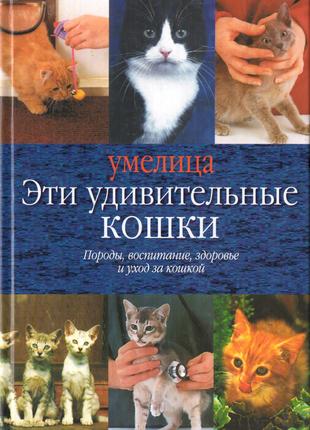 Эти удивительные кошки