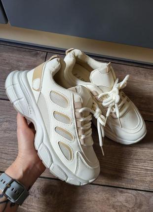 Shoes cream