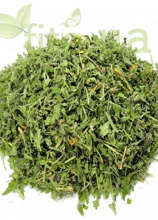 Иван-чай Кипрей мелкоцветковый трава 50 гр.