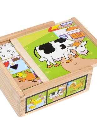 Развивающая игрушка деревянные кубики в пенале ie111