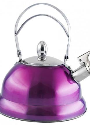 Чайник со свистком фиолетовый ns11ket