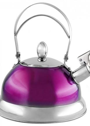 Чайник со свистком фиолетовый ns12ket