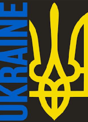 Виниловые наклейки на авто " Герб Ukraine " 20х17 см