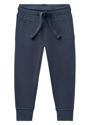 Темно синие, спортивные, трикотажные брюки от lupilu