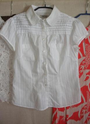 Белая блуза рубашка короткий рукав хлопок