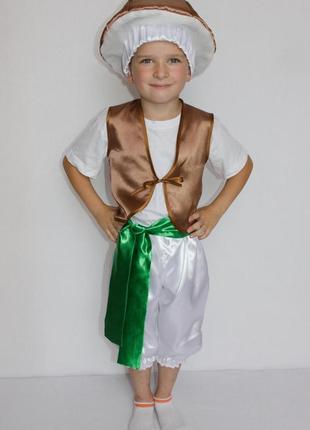 Карнавальный костюм гриб опёнок  или опеньок (мальчик)