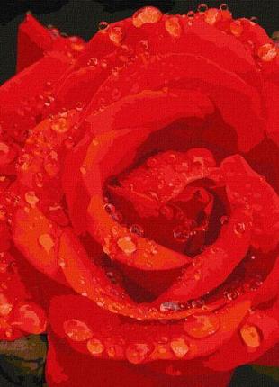 Картина по номерам "Роза в бриллиантах" ★★★★★ [tsi194397-ТSІ]