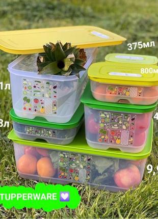 Розумний Холодильник к для зелені, овочів, ягід ,фруктів Tupperwa