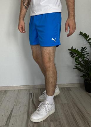 Мужские спортивные шорты пума синие спорт бег puma shorts