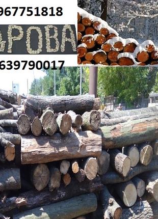 Пинкей  нестро торфобрикет пелета дрова 0639790017
