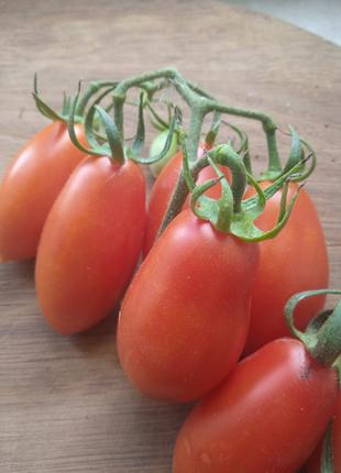 Семена томата черри перцевидный 5 грамм