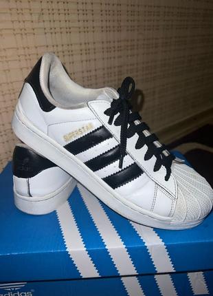 Adidas super best sale star 34