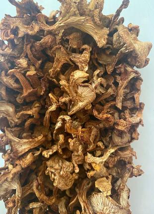 Сушені гриби лисички