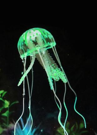 Медуза в аквариум зеленая - диаметр шапки около 9,5см, длина о...