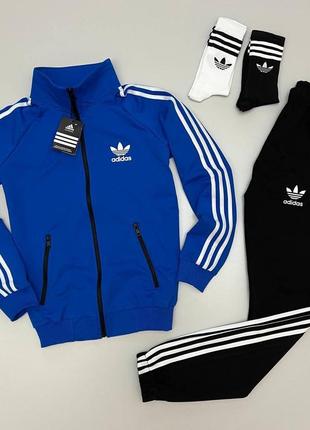 Костюм adidas: кофта-штани