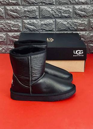 Чоловічі уги UGG Australia, зимові уги з натуральної шкіри