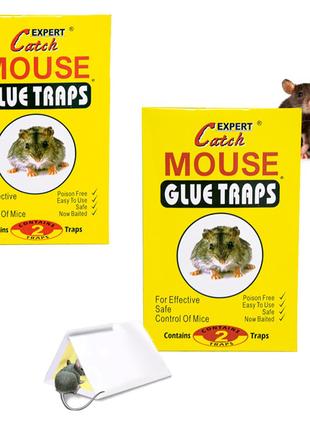 Комплект ловушка для мишей 2 шт. "Catch Expert - Mouse glue tr...