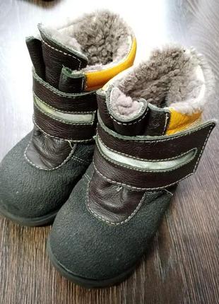 Зимові черевики на хлопчика 24 розмір 14 см устілка.