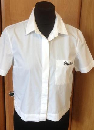Блуза рубашка белая размер м бренд оstin