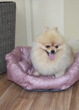 Лежак для собак и котов Бобби розовый