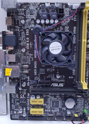 Материнская плата Asus AM1M-A+ Sempron 2650 DDR3 mini-ITX