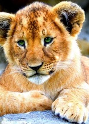 Набор Алмазная мозаика вышивка Тигренок савана львица тигр кот...